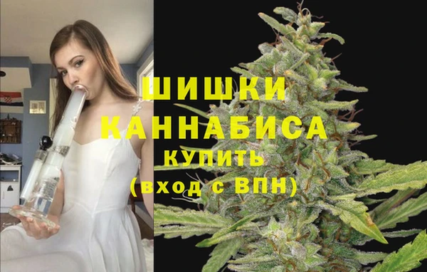 сатива Богородск
