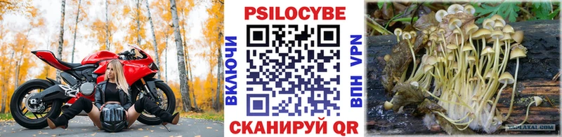 Псилоцибиновые грибы мицелий Купить закладки Магадан